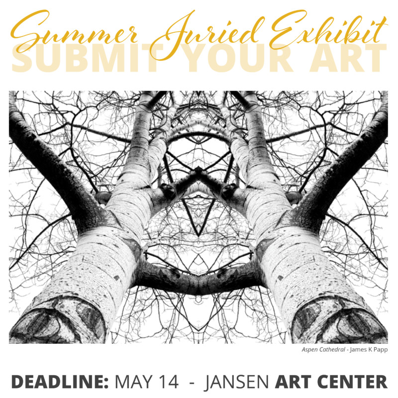 Summer Juried Exhibit - Submissions Open