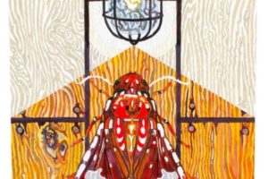 Mike Bathum Moth-Drawn-to-the-light-3
