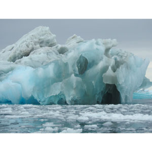 Marsha Seekins, Antarctic Ice