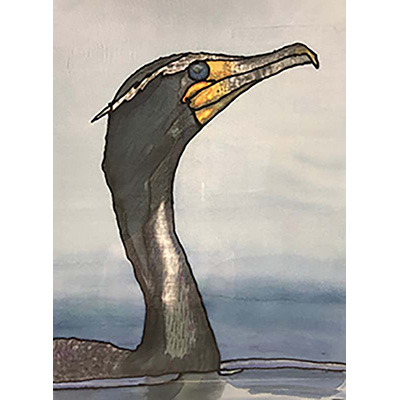 strong_the-cormorant-an-endangered-species