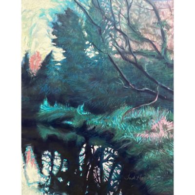 1. Dramatic-Reflections-14x11-soft-pastel-on-paper-542