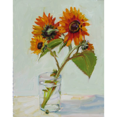 Olney_Sunflowers