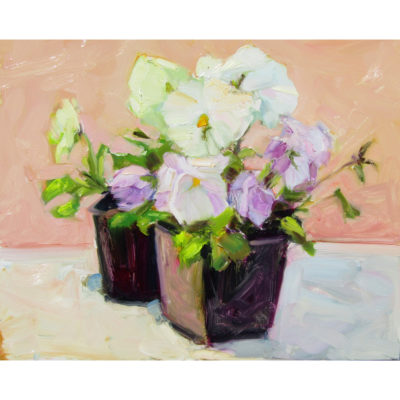 Olney_Two-Pansy-Pots