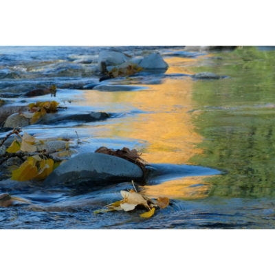 Scholtz_Fall-Tranquility-Methow-River