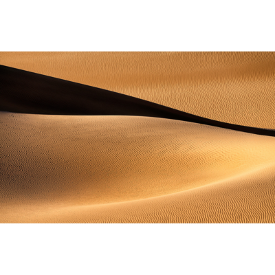 Lisa Aikenhead_Mesquite Dunes 2