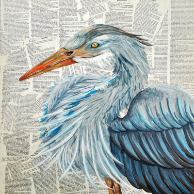 Len The Great Blue Heron